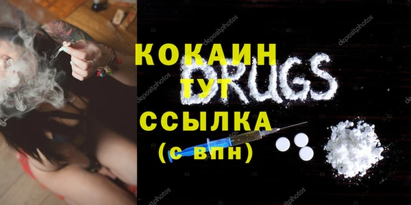 гидропоника Дмитриев