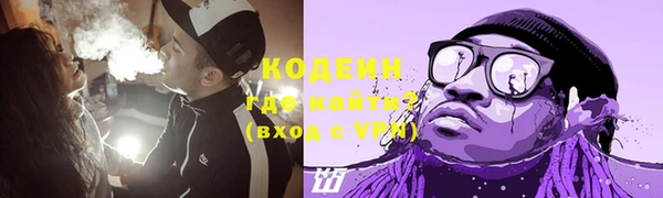 хмурый Дмитровск