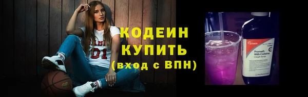 хмурый Дмитровск