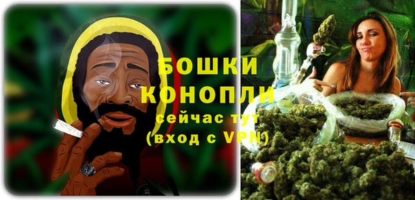 гидропоника Дмитриев