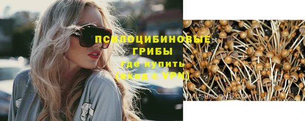 гидропоника Дмитриев
