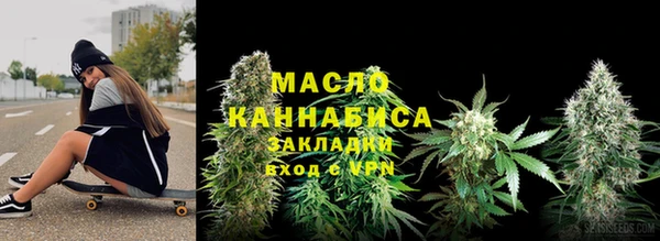 гидропоника Дмитриев